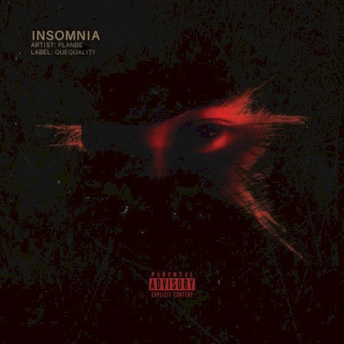 Okładka: Insomnia