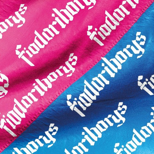 Okładka: Fiodor i Borys