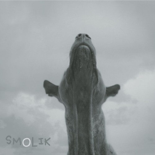 Okładka: Smolik 4