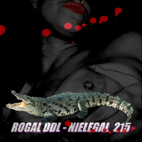 Okładka: Nielegal 215