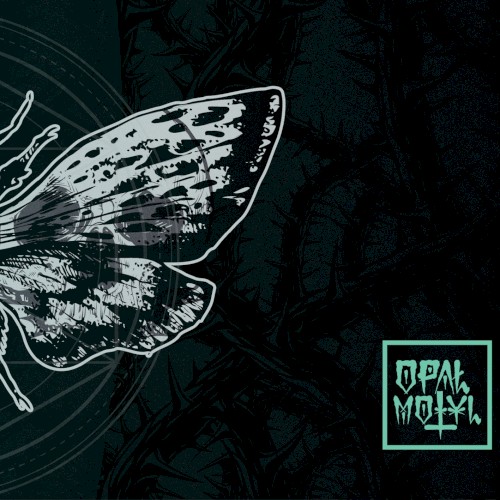 Okładka: Motyl