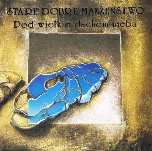 Okładka: Pod wielkim dachem nieba
