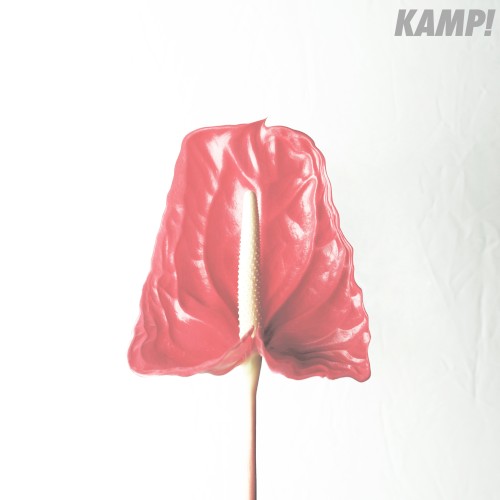 Okładka: Kamp!