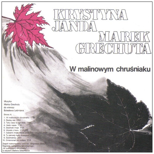 Okładka: W Malinowym chruśniaku / Dancing