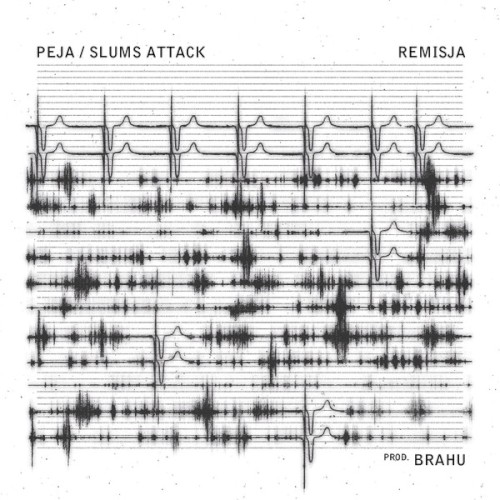 Okładka: Remisja