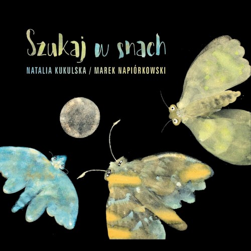 Okładka: Szukaj w snach