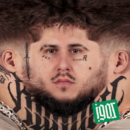 Okładka: IGOR