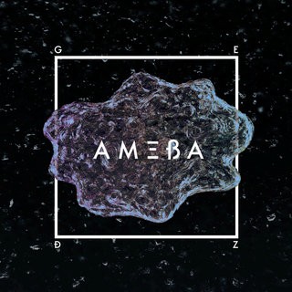Okładka: Ameba